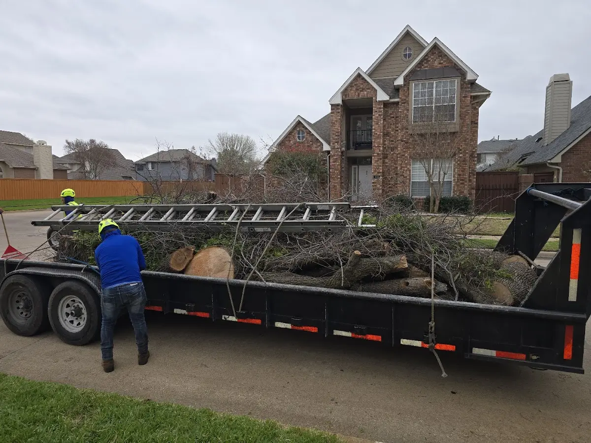 Expert Tree Pest Control with proper safety equipment in Fleming